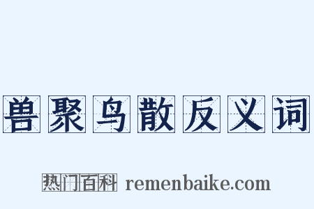 兽聚鸟散反义词是什么意思的图片